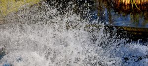 Water splash, gush, water — Korean Cuisine: What's Unique in Them?