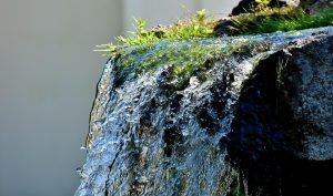 Water, fountain, water feature — The Art of Family Photography: How to Captured the Essence of Your Loved Ones